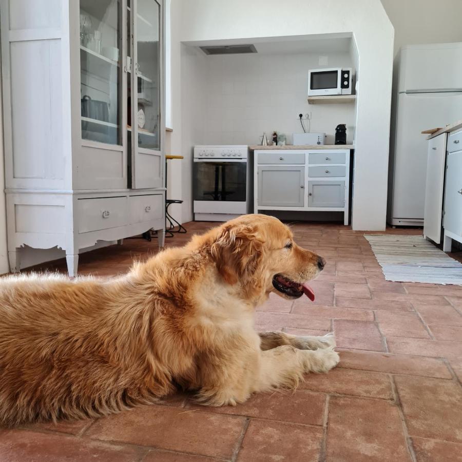 Willa Casa Magana Em Grândola Zewnętrze zdjęcie