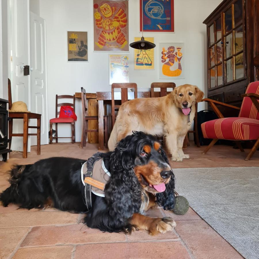 Willa Casa Magana Em Grândola Zewnętrze zdjęcie